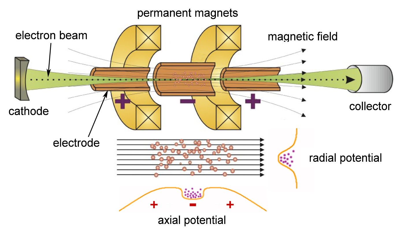 Fig. 2: Schematic design of the SPARC-EBIT
